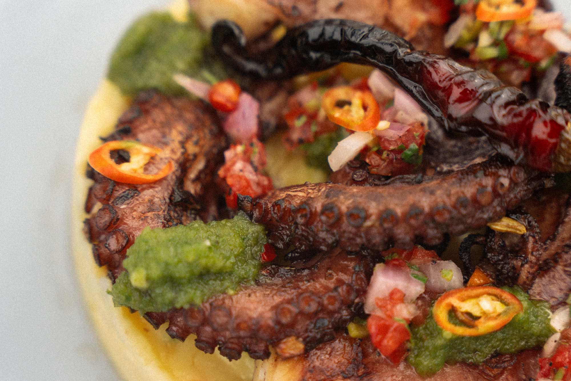 Grilled octopus tentacles on mash with green sambol, tomato and sliced red chilli